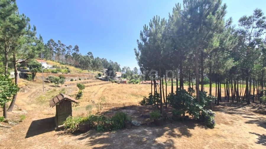 Terreno para Venda em Sande e São Lourenço Foto 19