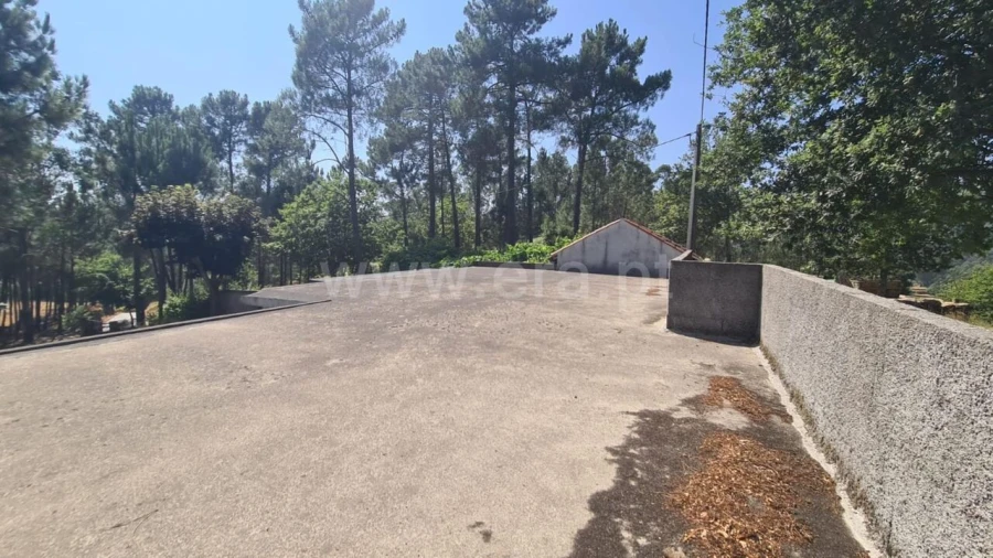 Terreno para Venda em Sande e São Lourenço Foto 15