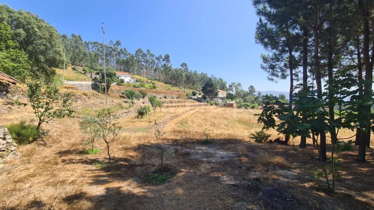 Terreno para Venda em Sande e São Lourenço Foto 16