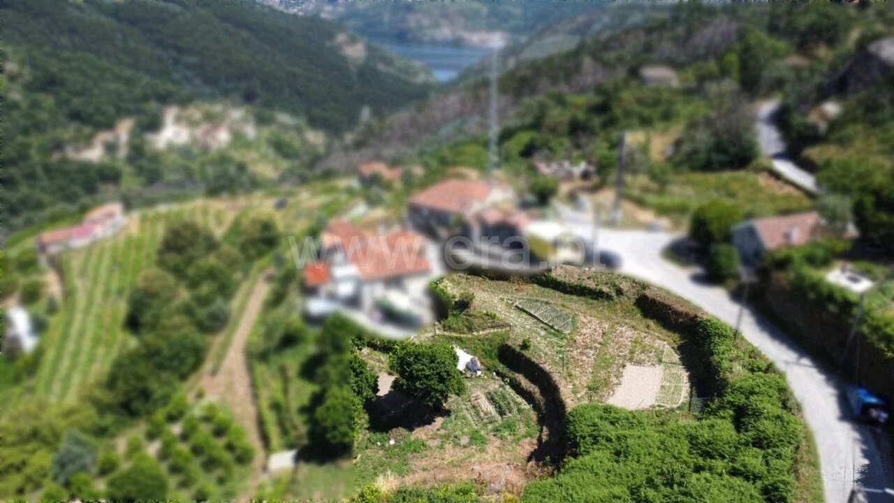 Terreno para Venda em Gove Foto 10