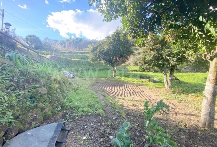 Terreno para Venda em Gove Foto 6