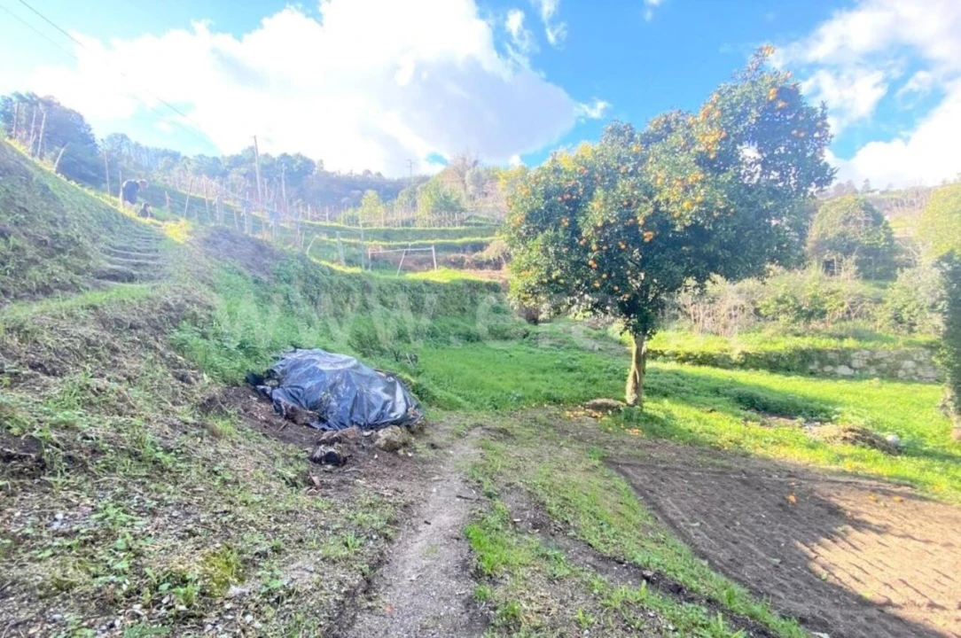 Terreno para Venda em Gove Foto 5