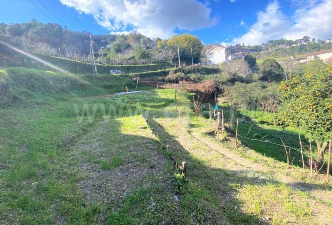 Terreno para Venda em Gove Foto 7