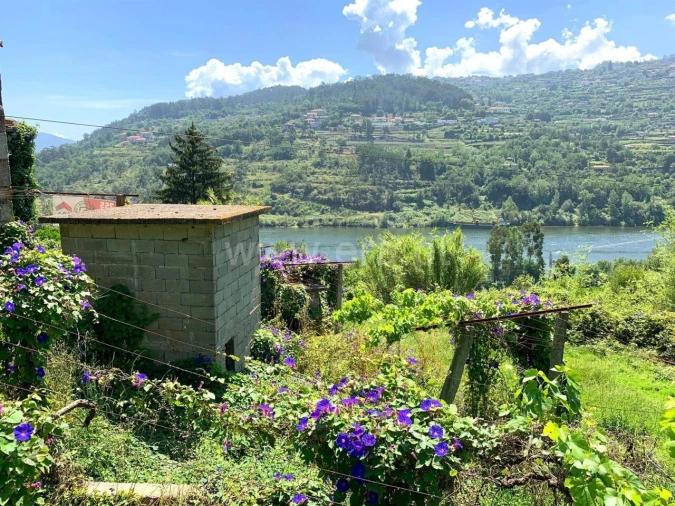 Quinta T0 para Venda em Bem Viver Foto 4