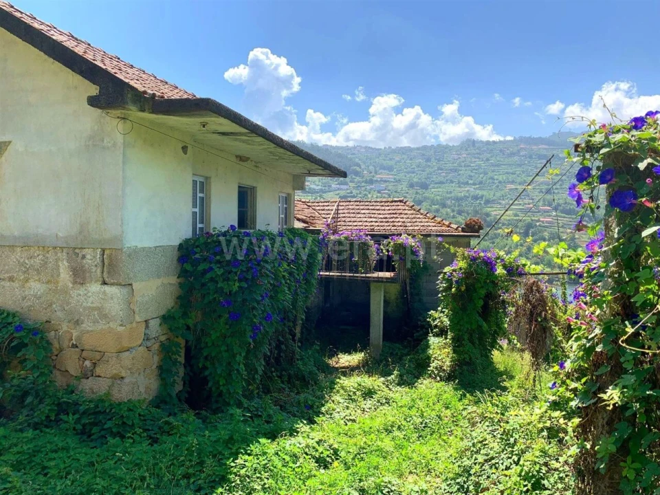 Quinta T0 para Venda em Bem Viver Foto 9