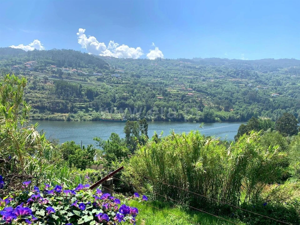 Quinta T0 para Venda em Bem Viver Foto 8