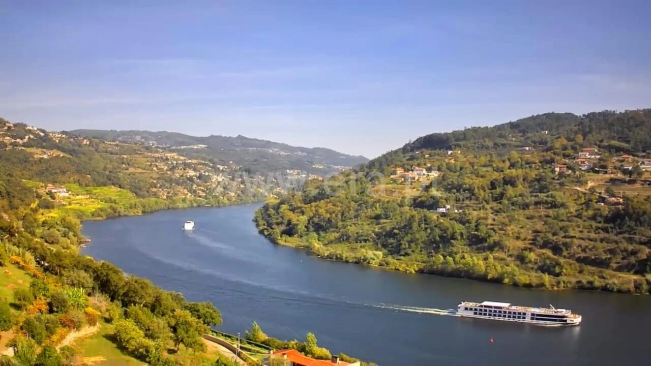 Quinta T0 para Venda em Bem Viver Foto 15