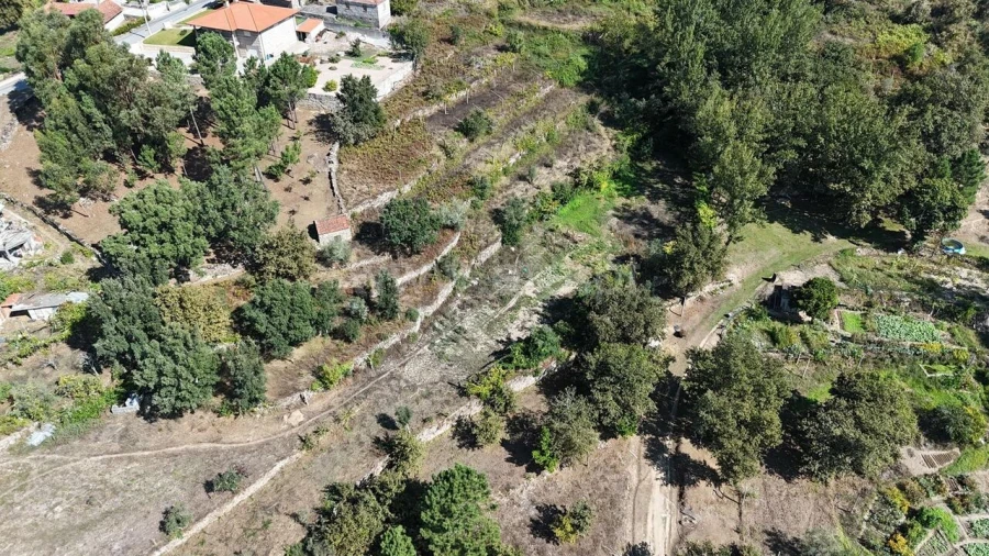 Terreno para Venda em Penhalonga e Paços de Gaiolo Foto 6