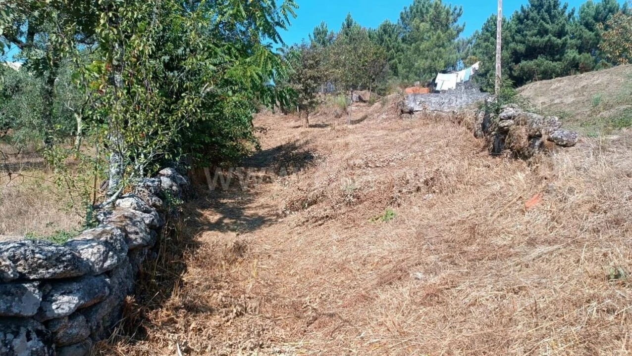 Terreno para Venda em Marco Foto 9