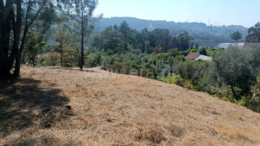 Terreno para Venda em Marco Foto 3
