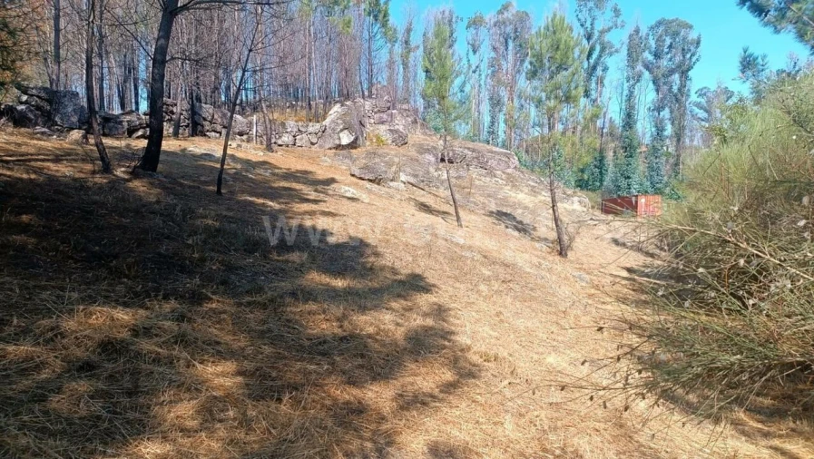 Terreno para Venda em Marco Foto 7
