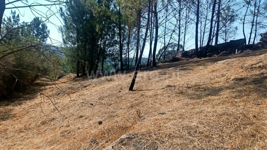 Terreno para Venda em Marco Foto 5