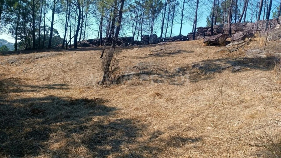 Terreno para Venda em Marco Foto 6