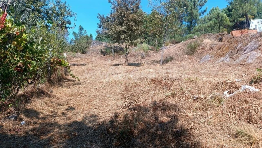 Terreno para Venda em Marco Foto 8