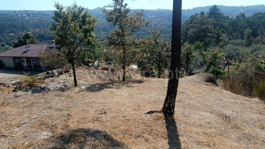 Terreno para Venda em Marco Foto 2