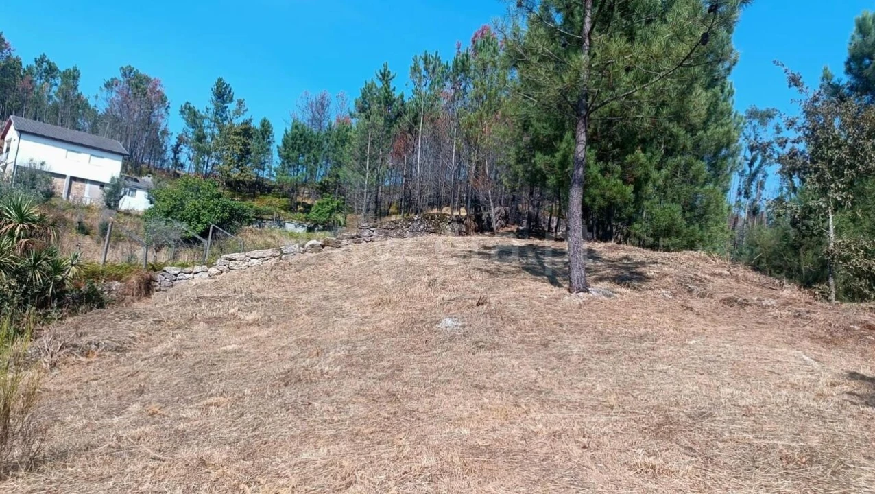 Terreno para Venda em Marco Foto 4