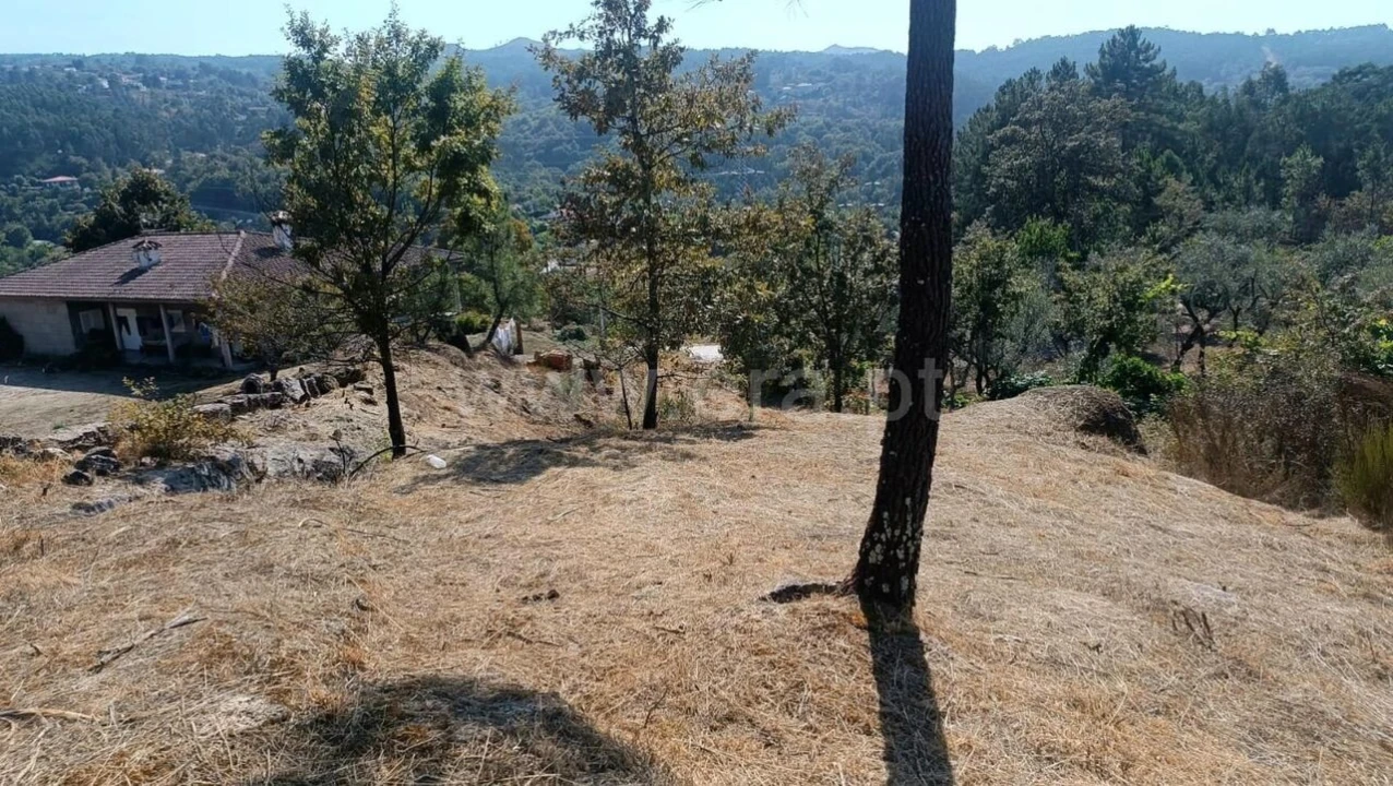 Terreno para Venda em Marco Foto 2