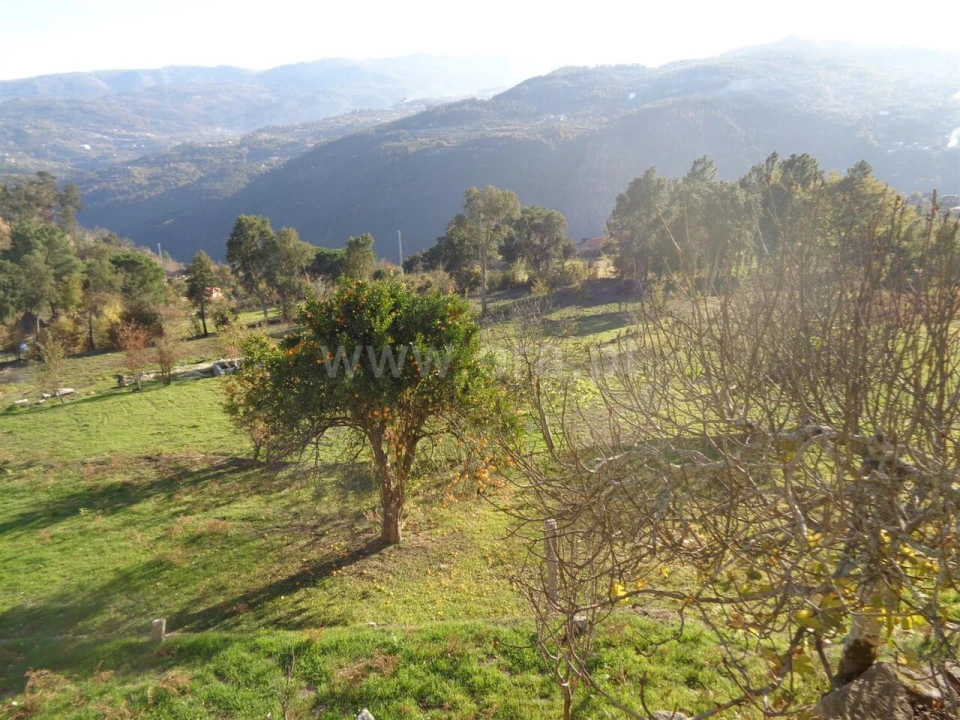 Quinta T3 para Venda em Penhalonga e Paços de Gaiolo Foto 10