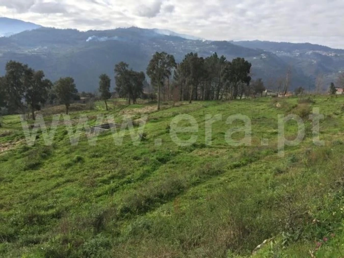 Quinta T3 para Venda em Penhalonga e Paços de Gaiolo Foto 14