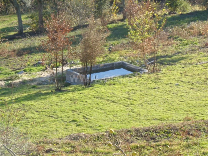 Quinta T3 para Venda em Penhalonga e Paços de Gaiolo Foto 13