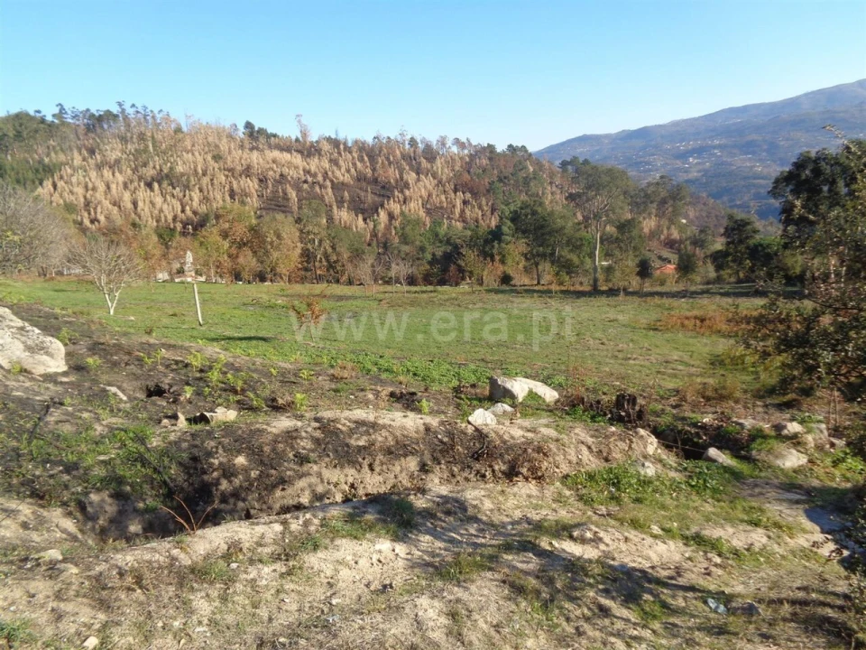 Quinta T3 para Venda em Penhalonga e Paços de Gaiolo Foto 5