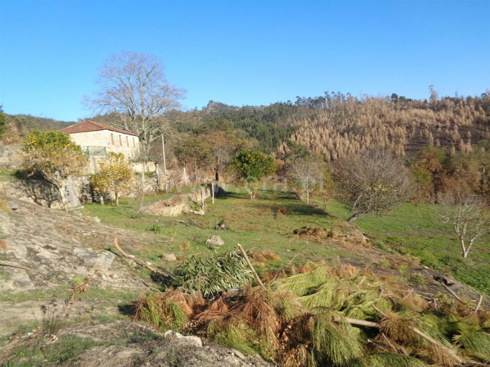 Quinta T3 para Venda em Penhalonga e Paços de Gaiolo Foto 1