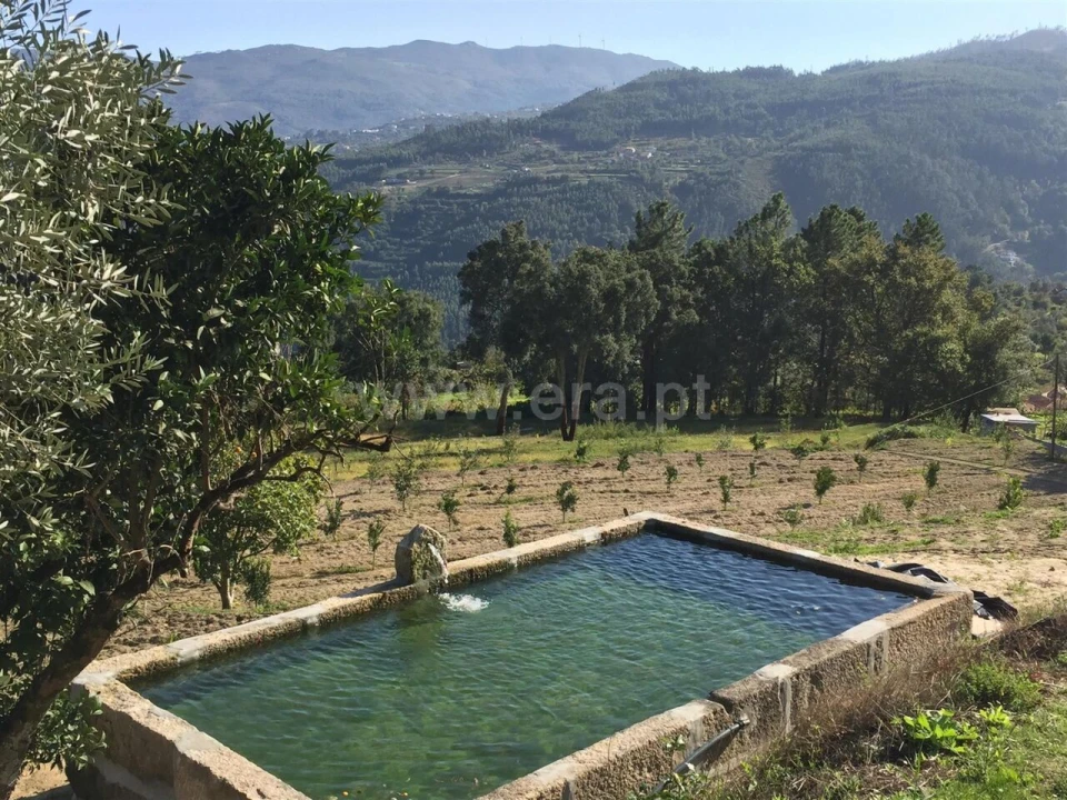Quinta T3 para Venda em Penhalonga e Paços de Gaiolo Foto 17