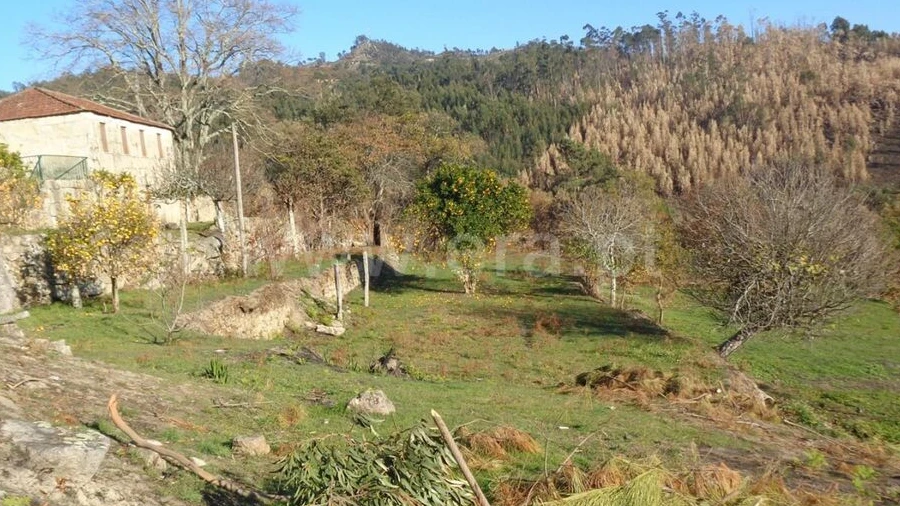 Quinta T3 para Venda em Penhalonga e Paços de Gaiolo