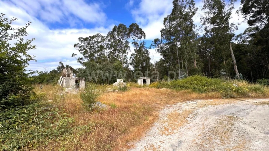 Terreno para Venda em Alpendorada, Várzea e Torrão Foto 12