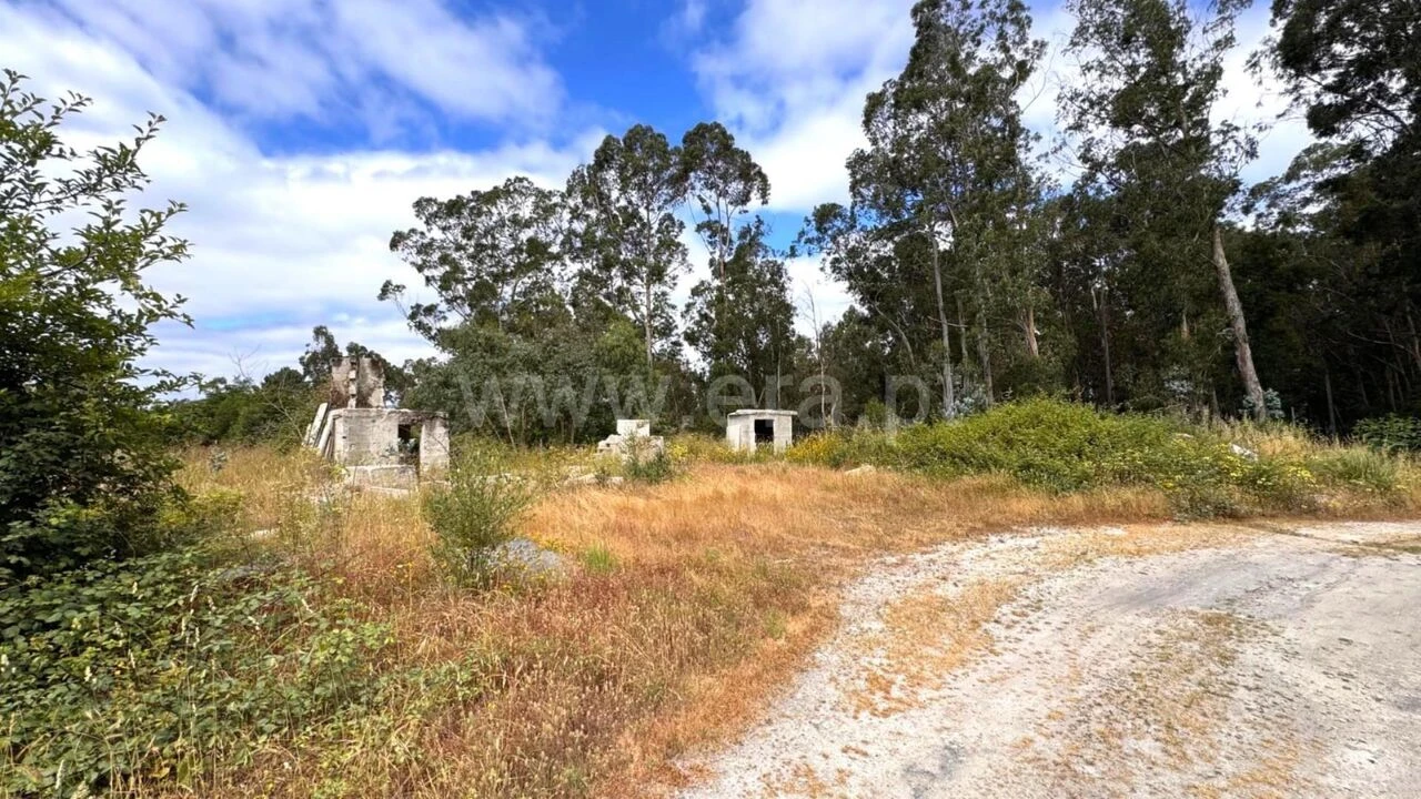 Terreno para Venda em Alpendorada, Várzea e Torrão Foto 12