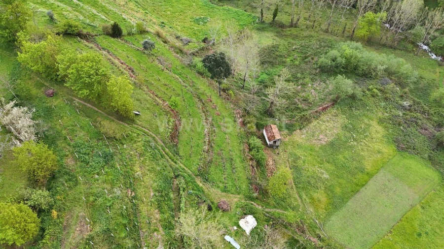 Quinta T0 para Venda em Santiago de Piães Foto 10