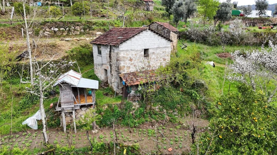 Quinta T0 para Venda em Santiago de Piães Foto 15