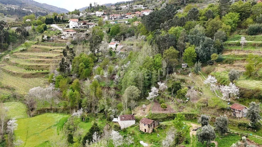 Quinta T0 para Venda em Santiago de Piães Foto 6