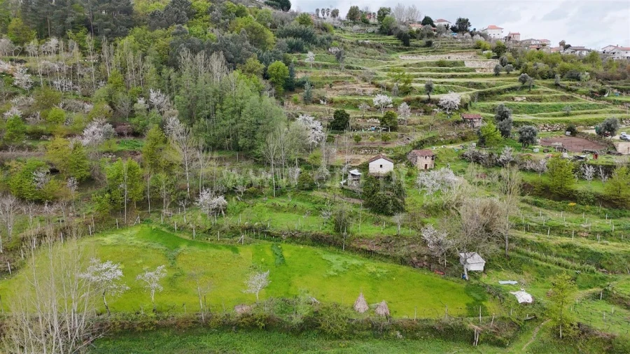 Quinta T0 para Venda em Santiago de Piães Foto 9