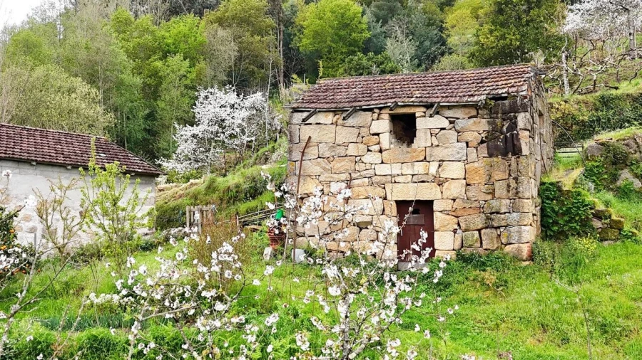 Quinta T0 para Venda em Santiago de Piães Foto 4