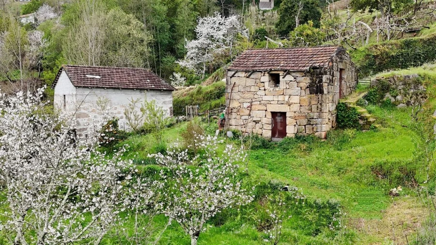 Quinta T0 para Venda em Santiago de Piães Foto 5