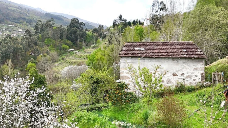 Quinta T0 para Venda em Santiago de Piães Foto 2