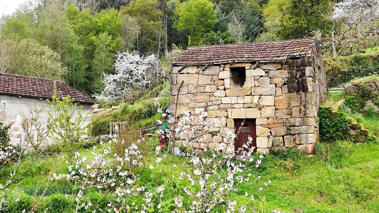 Quinta T0 para Venda em Santiago de Piães Foto 4