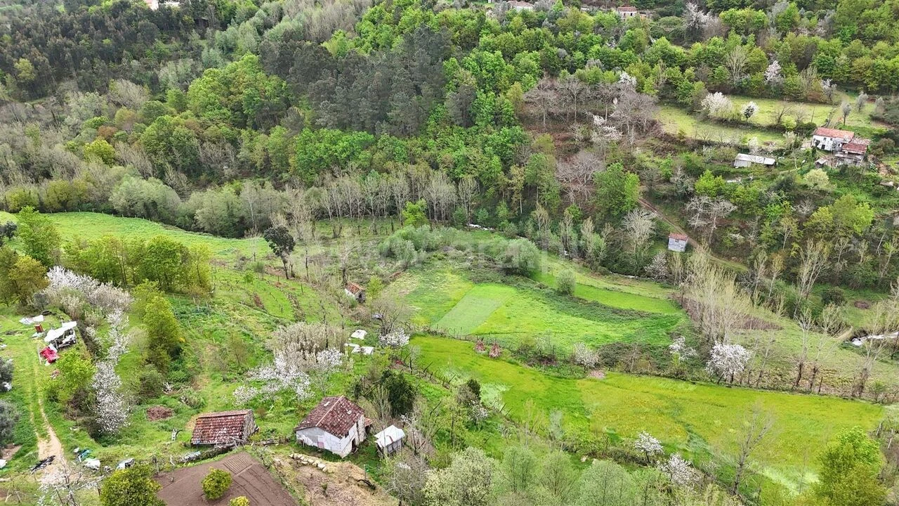Quinta T0 para Venda em Santiago de Piães Foto 11