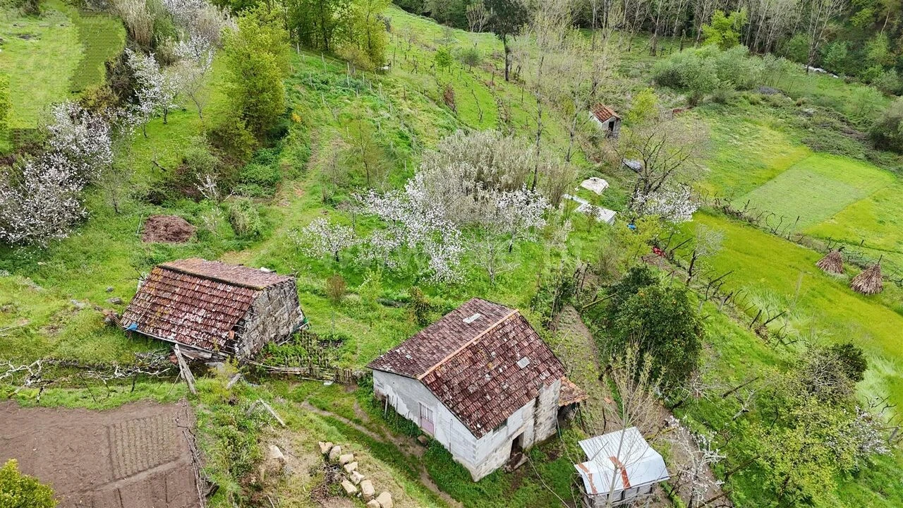 Quinta T0 para Venda em Santiago de Piães Foto 12