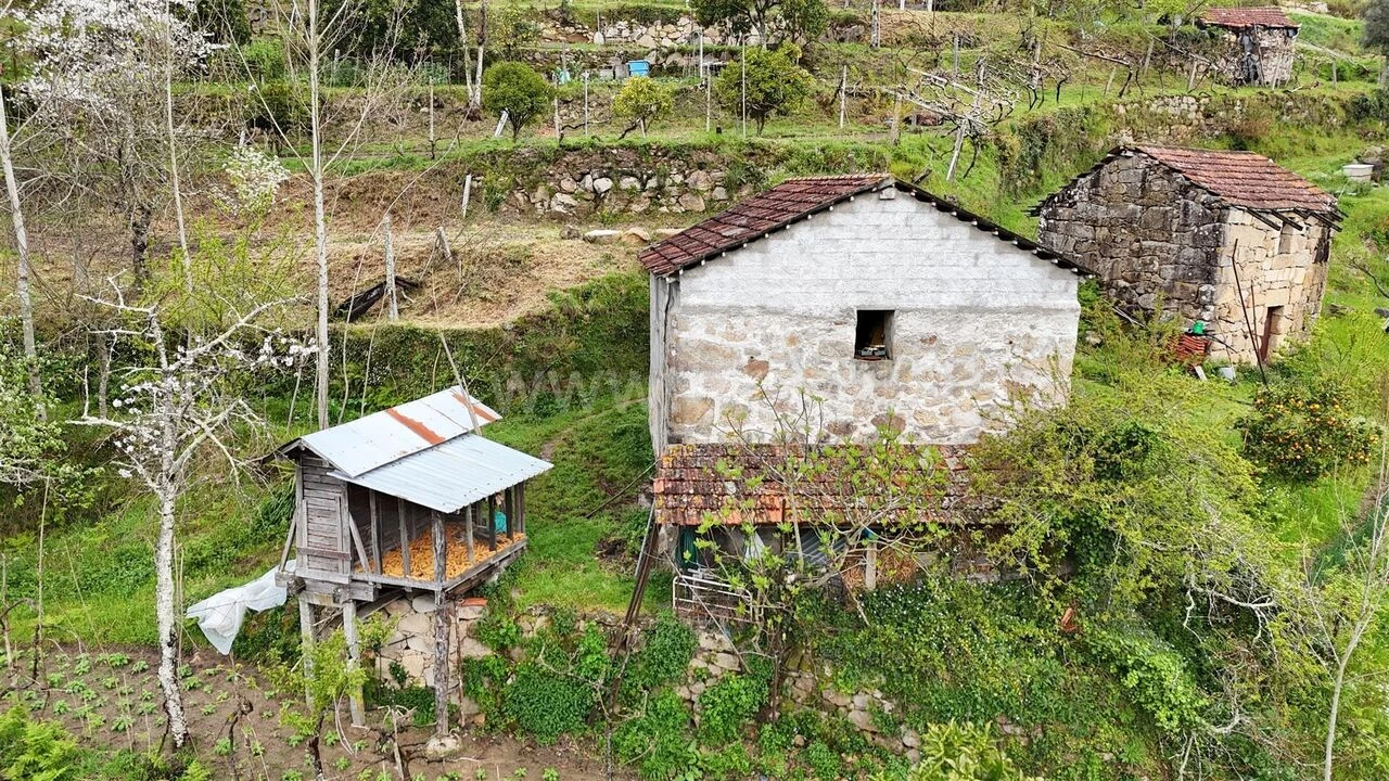 Quinta T0 para Venda em Santiago de Piães Foto 13