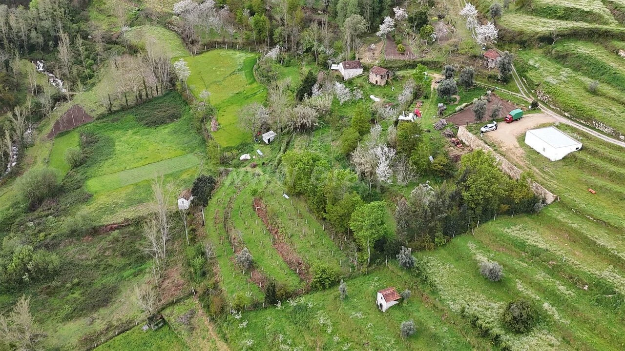 Quinta T0 para Venda em Santiago de Piães Foto 7