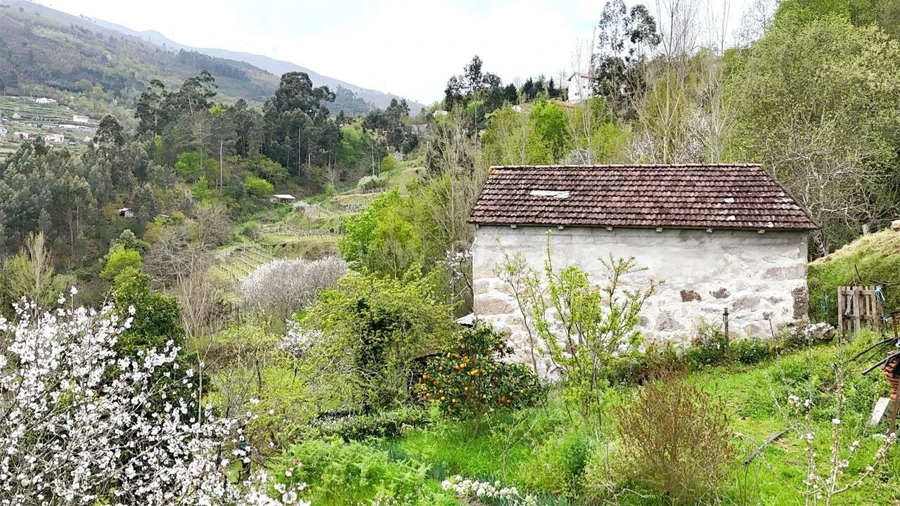 Quinta T0 para Venda em Santiago de Piães Foto 2