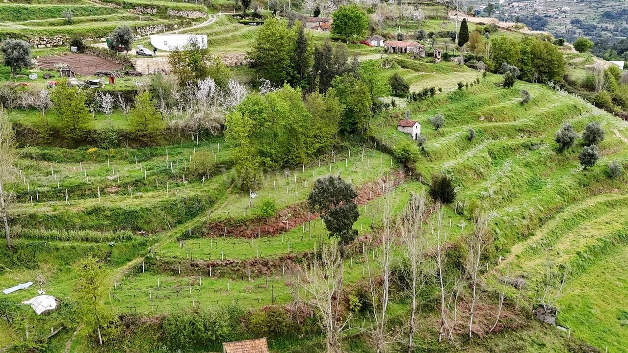 Quinta T0 para Venda em Santiago de Piães Foto 8