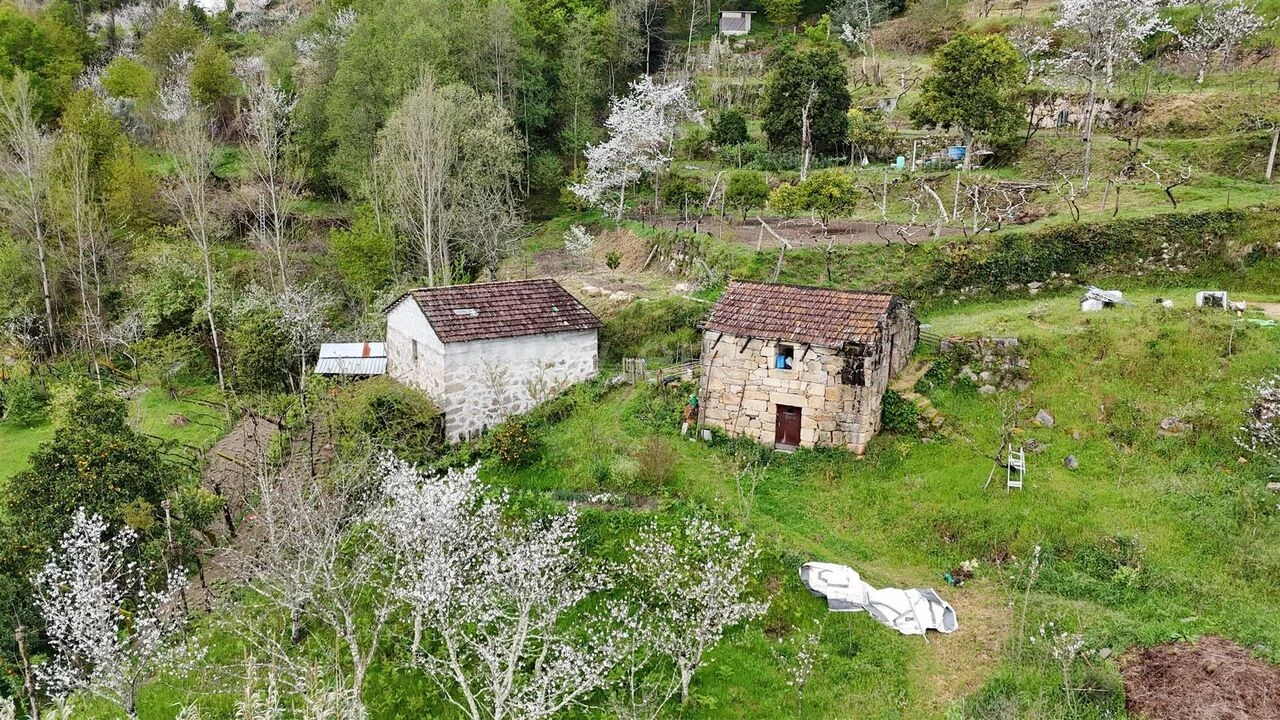 Quinta T0 para Venda em Santiago de Piães Foto 17