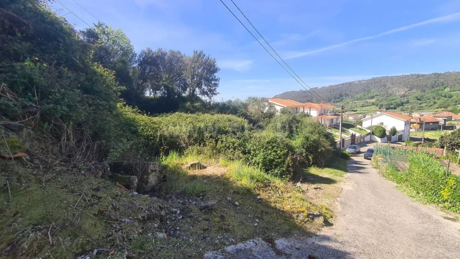 Terreno para Venda em Sousela Foto 11