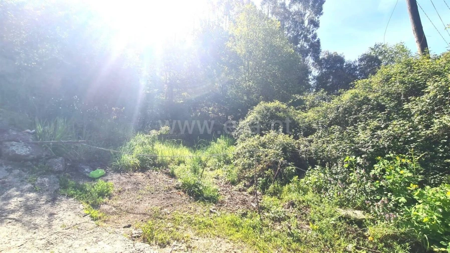 Terreno para Venda em Sousela Foto 2