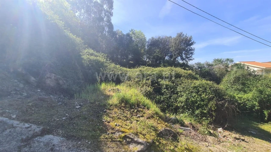 Terreno para Venda em Sousela Foto 7