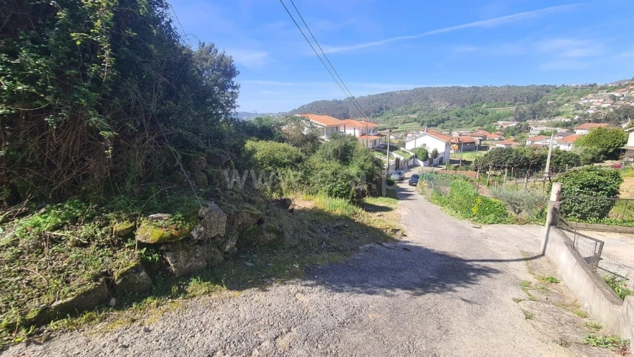 Terreno para Venda em Sousela Foto 8