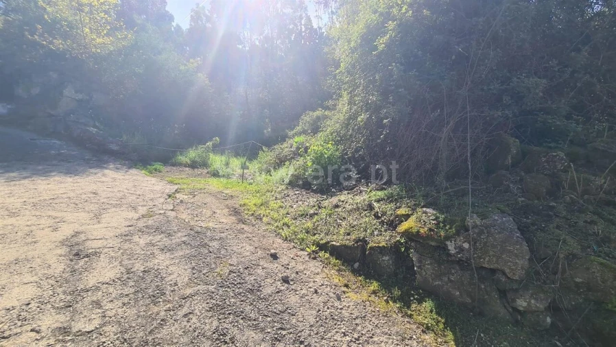 Terreno para Venda em Sousela Foto 5